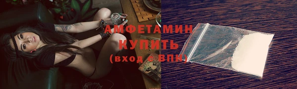 шишки Гусь-Хрустальный